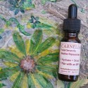 Carnelian Serum